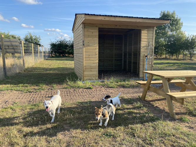 Wheatcroft Farm Dog Park in Coventry