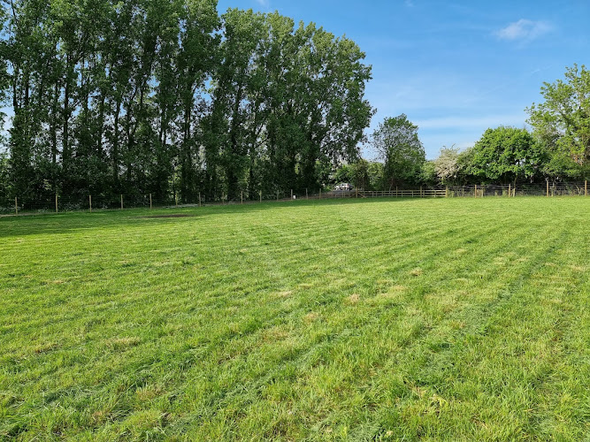 Wickhamford Woofs Dog Field, Evesham in Evesham