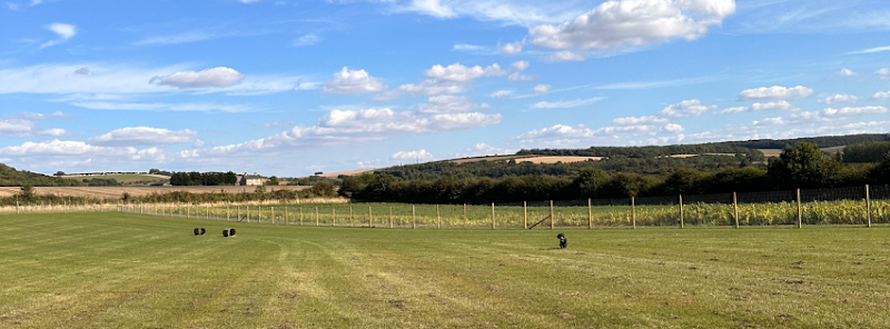 William's Den Dog Field in Hull
