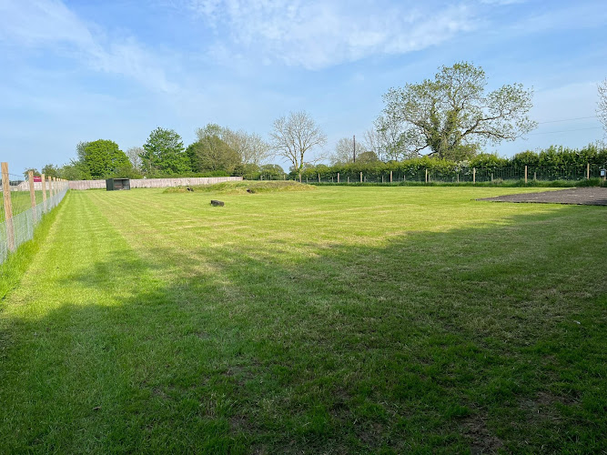 Willow Farm Walkies, Dog Field, Great Moulton in Norwich