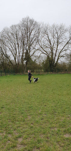 Willow Tree K9 Field, Biggleswade in Central Bedfordshire