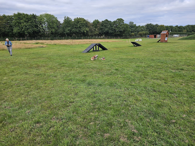 Winkleigh Wag and Walk Dog Field, Winkleigh in Devon