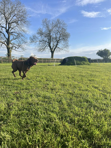 Wolvey Dog Walking Field - Cottage Farm Field, Hinkley in West Midlands