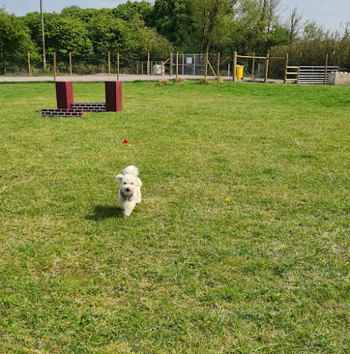 Woof Hall & Dog Field in Bridgwater