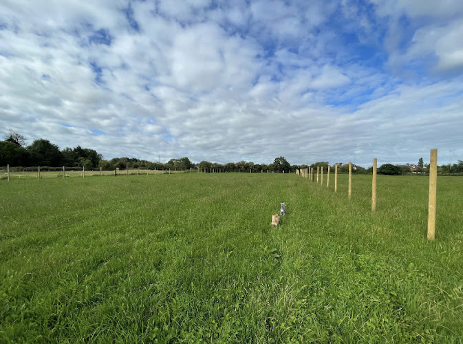 WoofPark in Saltford