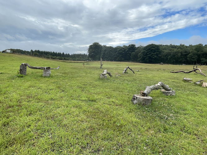 Zoomies, Dog Field, Aberdeen - Wild Park in Aberdeenshire