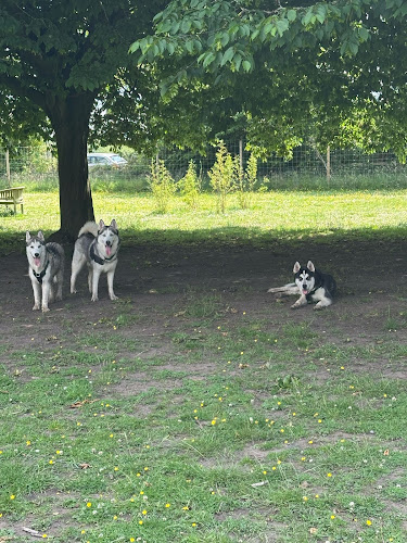 Zoomies Zone - Activity Zone, Liverpool in Knowsley