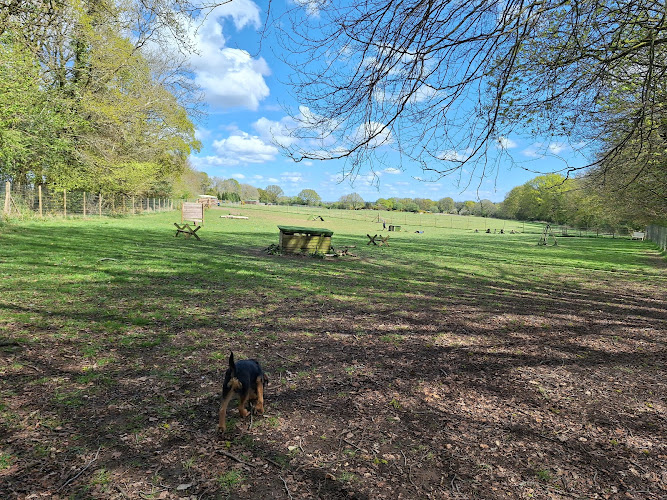 Zoomies4Paws, Warminster in Trowbridge