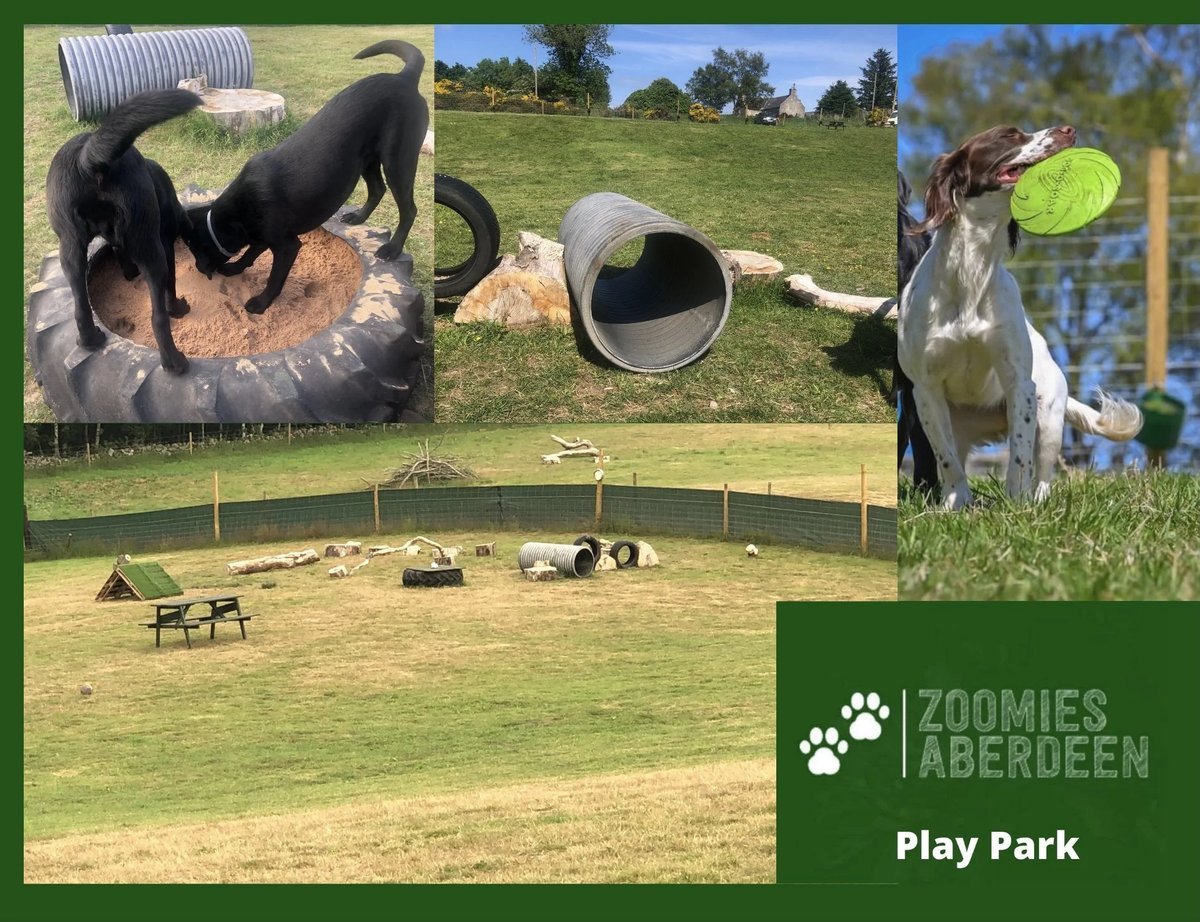 Zoomies, Dog Field, Aberdeen - Play Park in Aberdeenshire